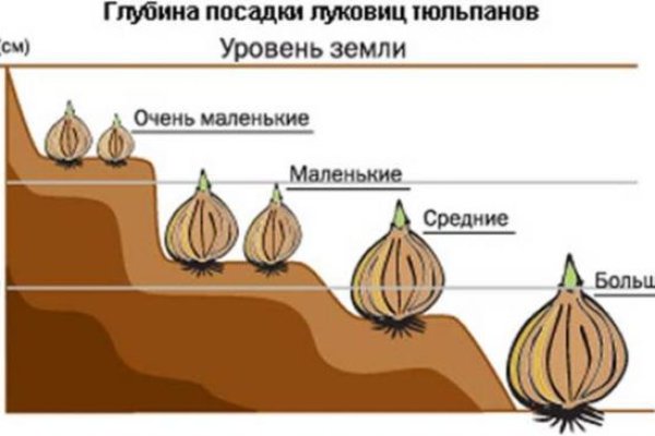 Украли аккаунт на кракене даркнет